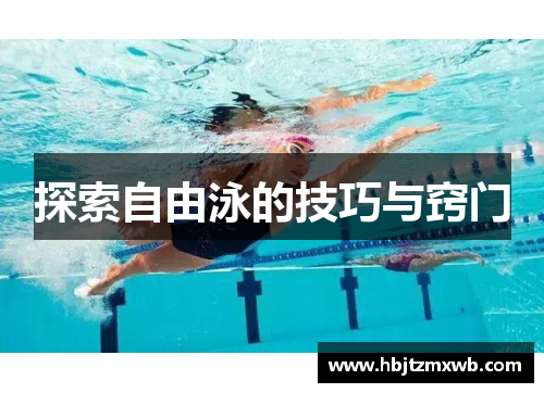 探索自由泳的技巧与窍门