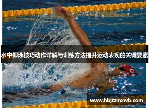 水中仰泳技巧动作详解与训练方法提升运动表现的关键要素