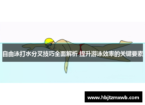 自由泳打水分叉技巧全面解析 提升游泳效率的关键要素
