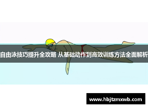 自由泳技巧提升全攻略 从基础动作到高效训练方法全面解析