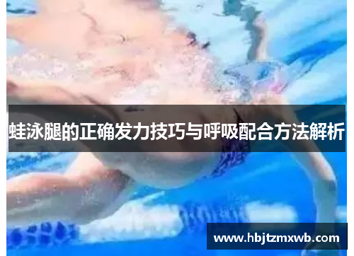 蛙泳腿的正确发力技巧与呼吸配合方法解析