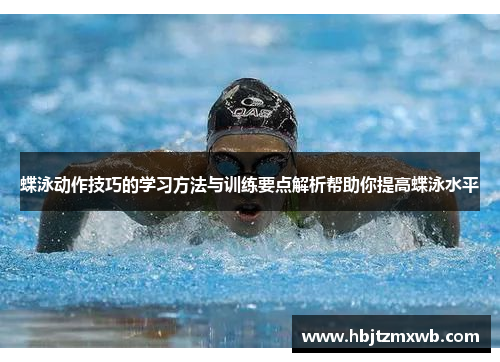 蝶泳动作技巧的学习方法与训练要点解析帮助你提高蝶泳水平