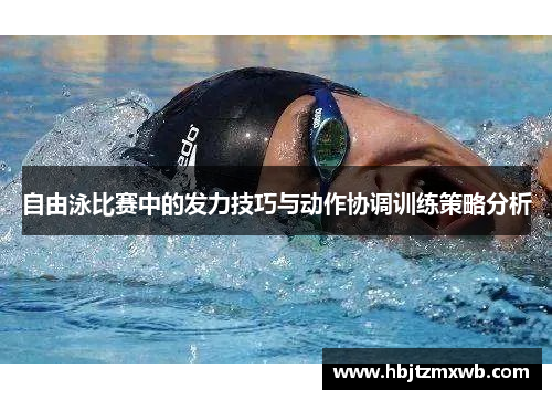 自由泳比赛中的发力技巧与动作协调训练策略分析